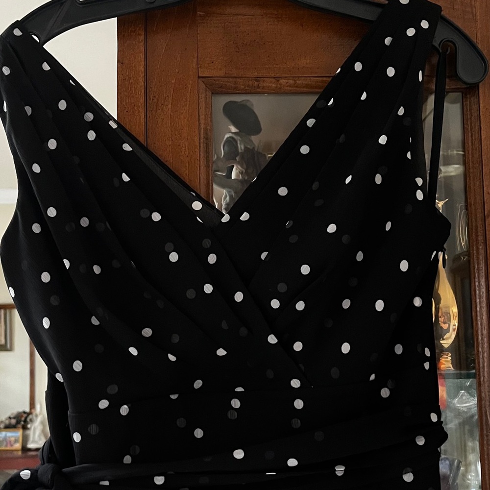 White House Black Market Black and White Polka Dot Dress
